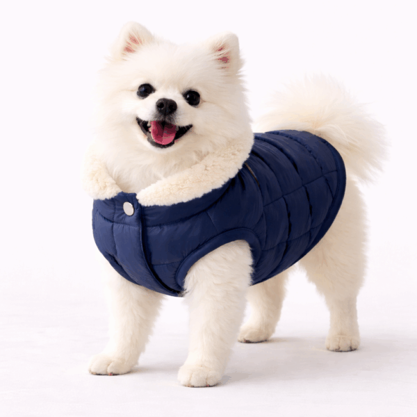 Warm Dog Puffer Jacket